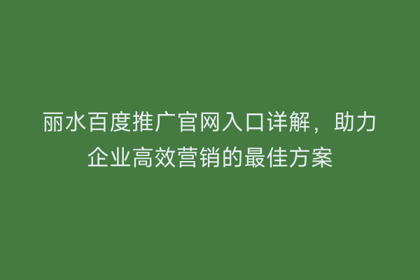 丽水百度推广官网入口详解,助力企业高效营销的最佳方案