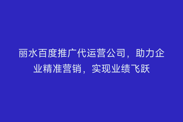 丽水百度推广代运营公司,助力企业精准营销,实现业绩飞跃