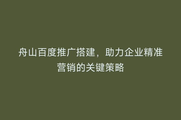 舟山百度推广搭建，助力企业精准营销的关键策略
