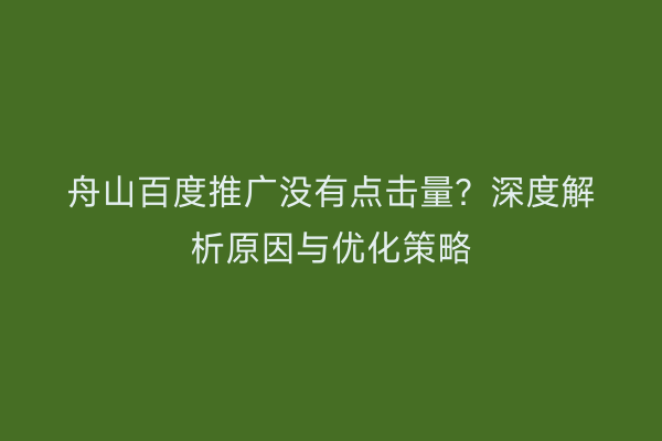 舟山百度推广没有点击量?深度解析原因与优化策略