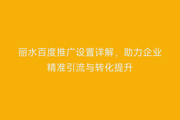 丽水百度推广设置详解,助力企业精准引流与转化提升