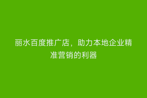 丽水百度推广店,助力本地企业精准营销的利器