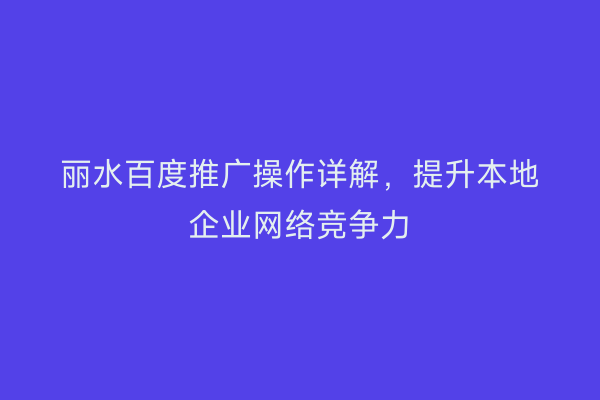 丽水百度推广操作详解,提升本地企业网络竞争力