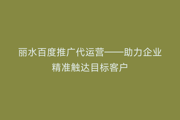 丽水百度推广代运营——助力企业精准触达目标客户