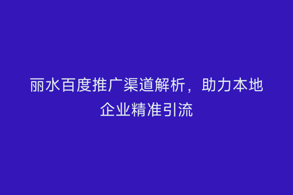 丽水百度推广渠道解析,助力本地企业精准引流