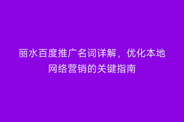丽水百度推广名词详解，优化本地网络营销的关键指南