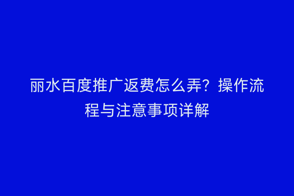 丽水百度推广返费怎么弄?操作流程与注意事项详解