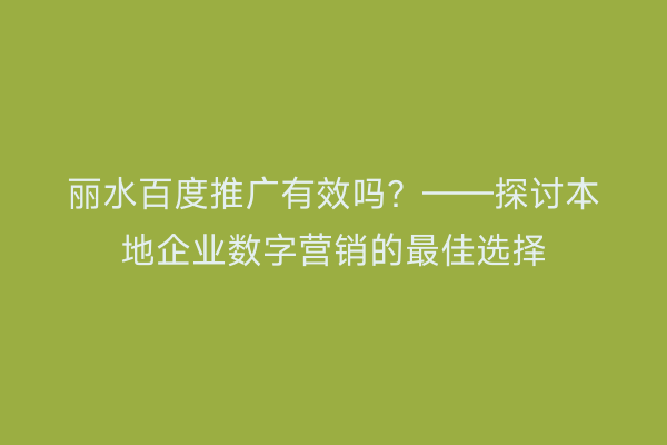 丽水百度推广有效吗?——探讨本地企业数字营销的最佳选择