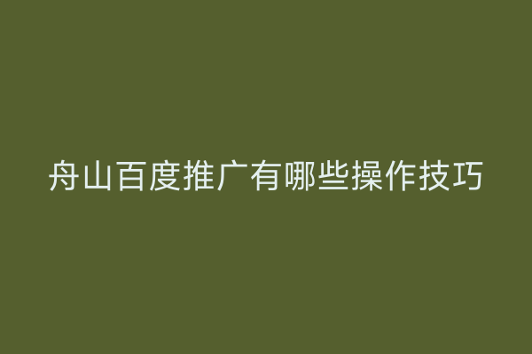 舟山百度推广有哪些操作技巧