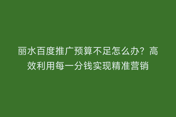 丽水百度推广预算不足怎么办?高效利用每一分钱实现精准营销