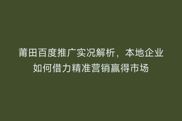 莆田百度推广实况解析,本地企业如何借力精准营销赢得市场