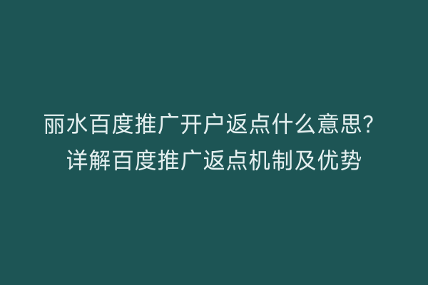 丽水百度推广开户返点什么意思?详解百度推广返点机制及优势