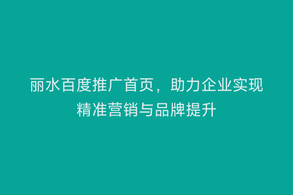 丽水百度推广首页,助力企业实现精准营销与品牌提升
