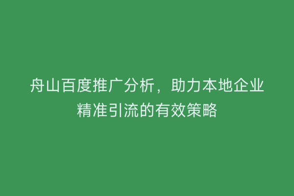 舟山百度推广分析,助力本地企业精准引流的有效策略