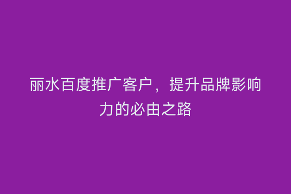 丽水百度推广客户,提升品牌影响力的必由之路
