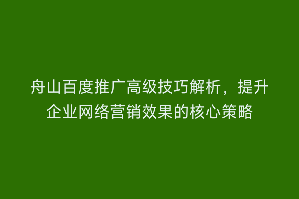 舟山百度推广高级技巧解析,提升企业网络营销效果的核心策略