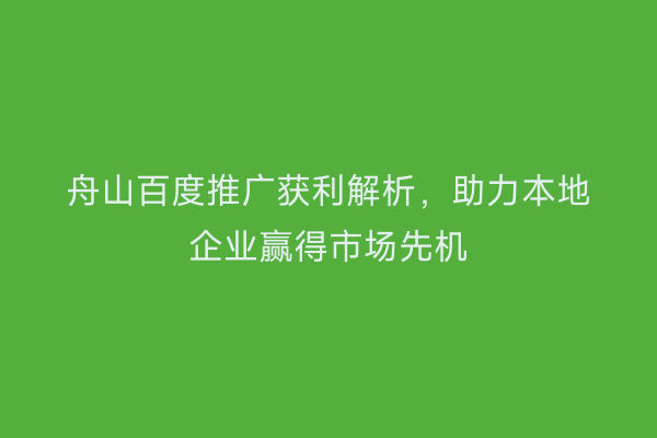舟山百度推广获利解析,助力本地企业赢得市场先机