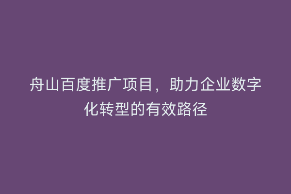 舟山百度推广项目,助力企业数字化转型的有效路径