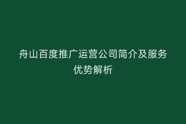 舟山百度推广运营公司简介及服务优势解析