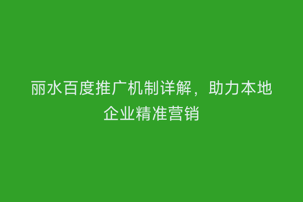 丽水百度推广机制详解，助力本地企业精准营销