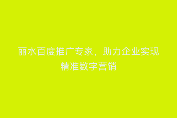 丽水百度推广专家,助力企业实现精准数字营销