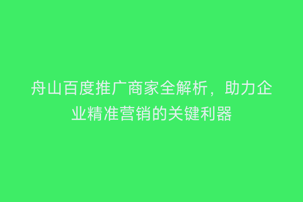 舟山百度推广商家全解析,助力企业精准营销的关键利器