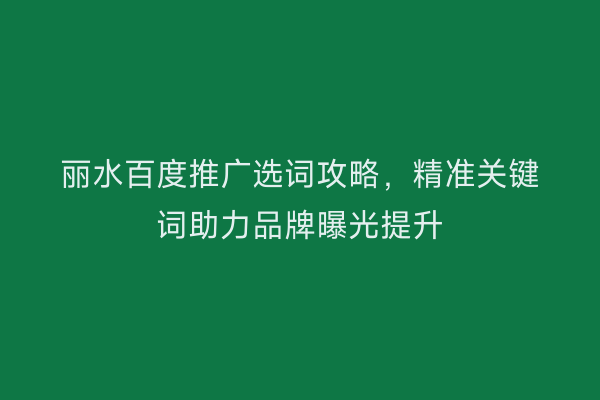 丽水百度推广选词攻略，精准关键词助力品牌曝光提升