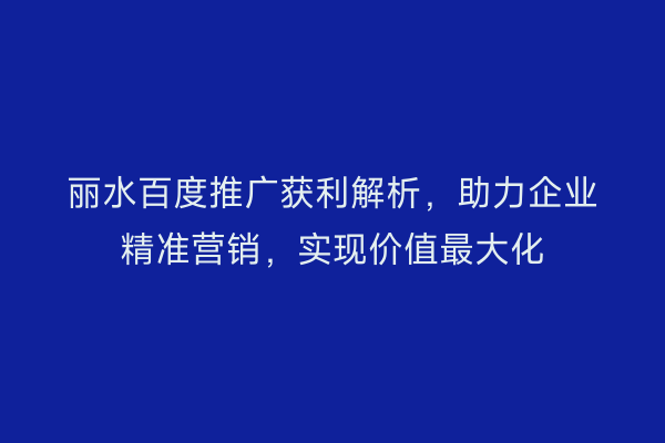 丽水百度推广获利解析,助力企业精准营销,实现价值最大化