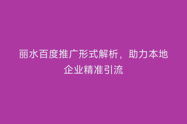 丽水百度推广形式解析,助力本地企业精准引流