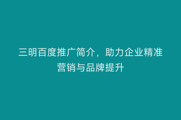 三明百度推广简介,助力企业精准营销与品牌提升