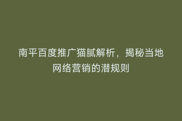 南平百度推广猫腻解析，揭秘当地网络营销的潜规则