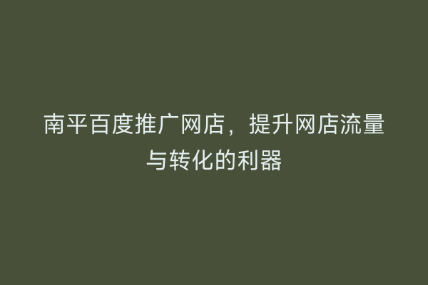 南平百度推广网店,提升网店流量与转化的利器