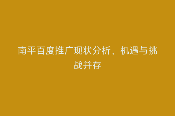 南平百度推广现状分析,机遇与挑战并存
