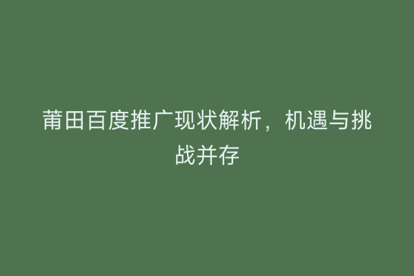 莆田百度推广现状解析,机遇与挑战并存