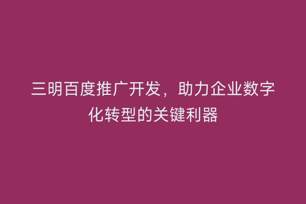 三明百度推广开发,助力企业数字化转型的关键利器