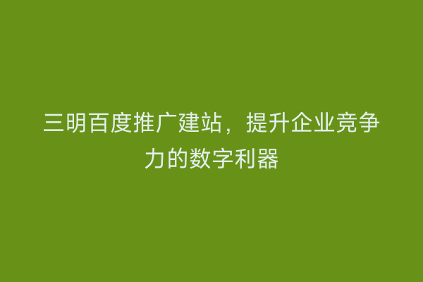 三明百度推广建站,提升企业竞争力的数字利器