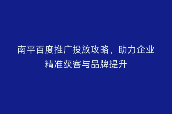 南平百度推广投放攻略，助力企业精准获客与品牌提升