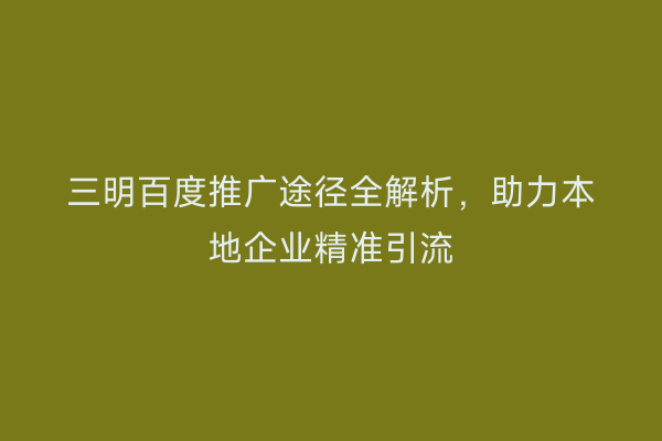 三明百度推广途径全解析,助力本地企业精准引流