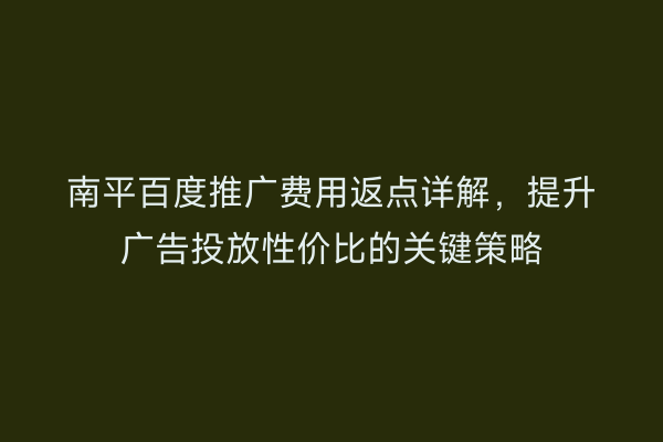 南平百度推广费用返点详解,提升广告投放性价比的关键策略