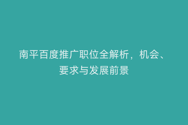 南平百度推广职位全解析,机会、要求与发展前景