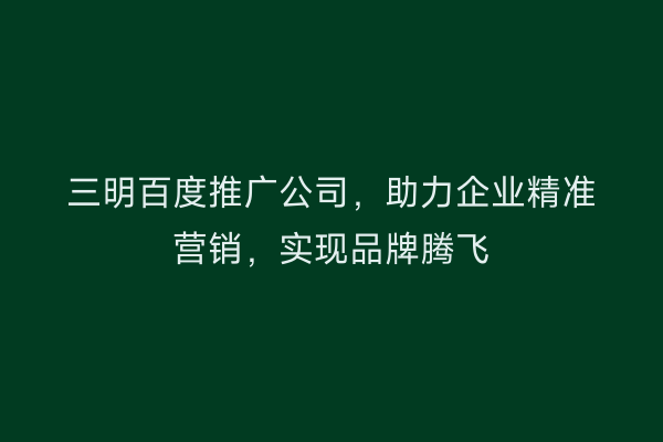三明百度推广公司,助力企业精准营销,实现品牌腾飞