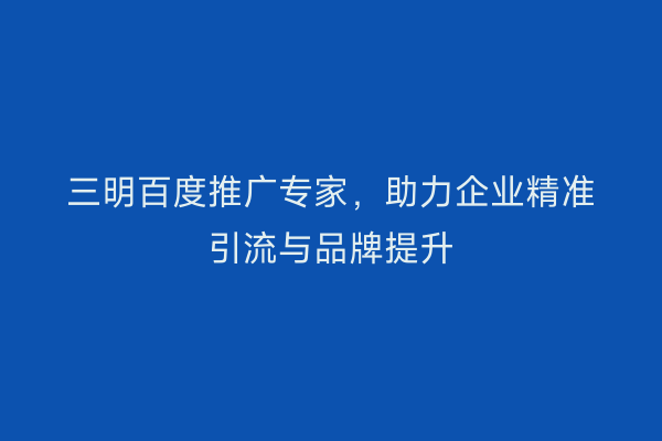 三明百度推广专家，助力企业精准引流与品牌提升
