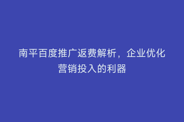 南平百度推广返费解析，企业优化营销投入的利器