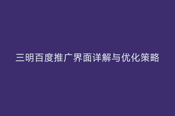 三明百度推广界面详解与优化策略
