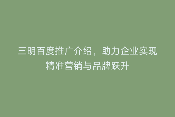 三明百度推广介绍,助力企业实现精准营销与品牌跃升