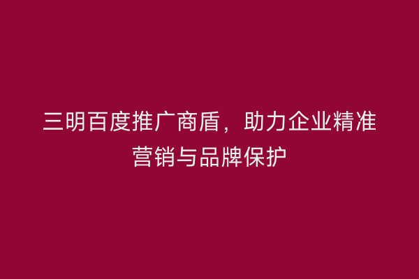 三明百度推广商盾,助力企业精准营销与品牌保护