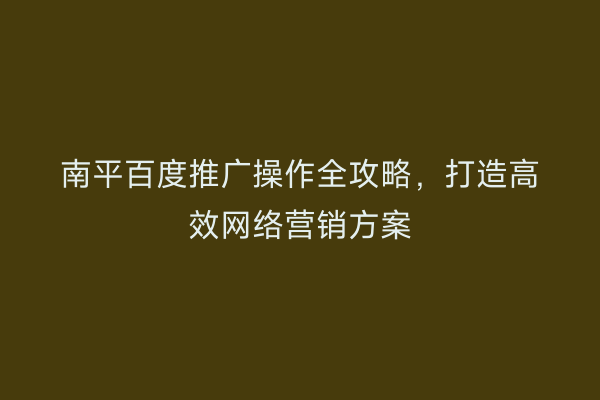 南平百度推广操作全攻略，打造高效网络营销方案