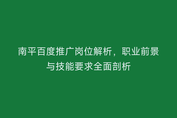 南平百度推广岗位解析,职业前景与技能要求全面剖析