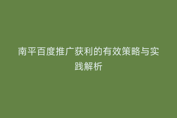 南平百度推广获利的有效策略与实践解析
