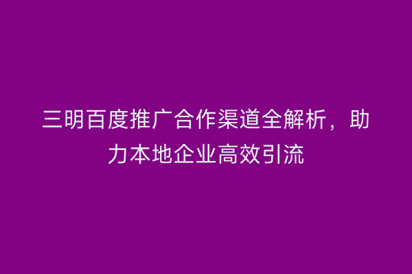 三明百度推广合作渠道全解析，助力本地企业高效引流